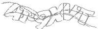 Check code