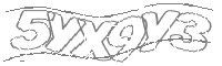 Check code