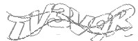 Check code