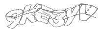 Check code