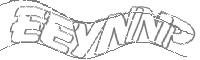 Check code