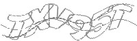 Check code