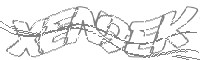 Check code