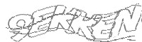 Check code
